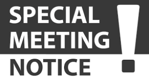 Special General Meeting